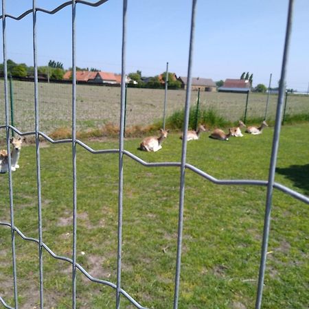 De Lekkermond ξενώνας Diksmuide Εξωτερικό φωτογραφία