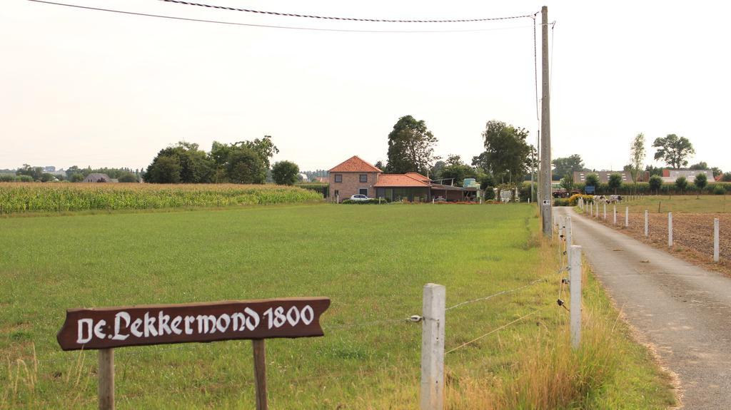 De Lekkermond ξενώνας Diksmuide Εξωτερικό φωτογραφία